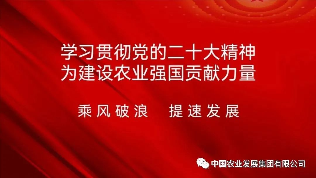 微信圖片_20221111093334.jpg 微信圖片_20221111093334.jpg