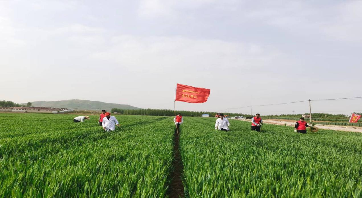 天泰2.png 天泰2.png