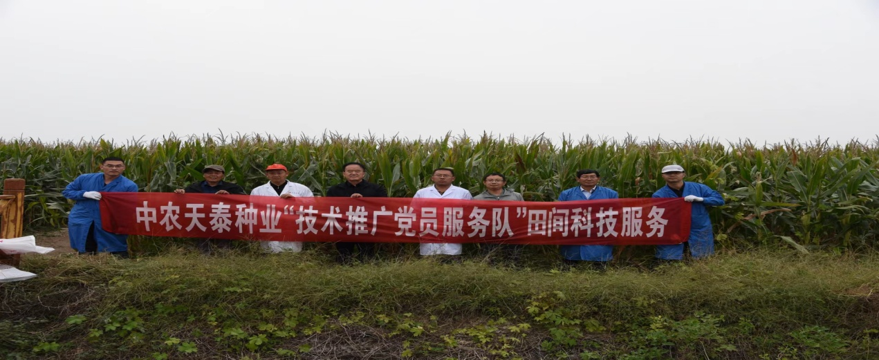 天泰3.png 天泰3.png